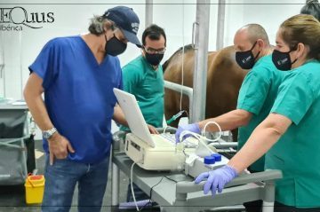 Diagnosticos y Tratamientos Equus Ibérica